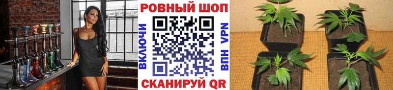 Все наркотики Урюпинск ГАШИШ Alpha-PVP Лсд 25 Cocaine Мефедрон АМФЕТАМИН