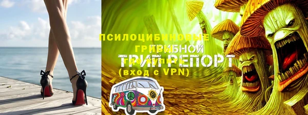 2c-b Кукмор
