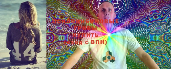 mdpv Сясьстрой