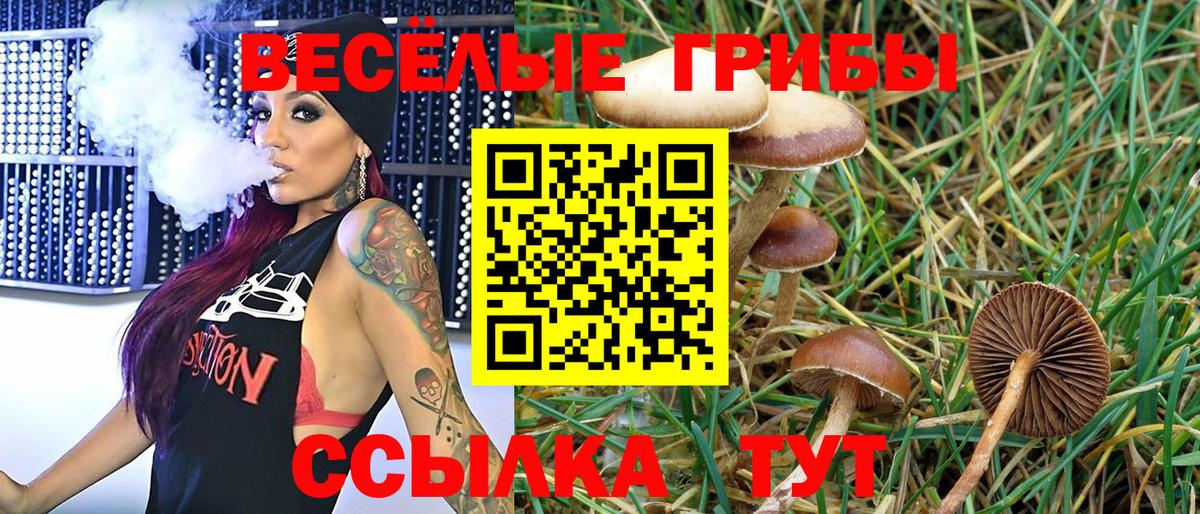 Псилоцибиновые грибы ЛСД  Псилоцибиновые грибы Magic Shrooms  Урюпинск  цена наркотик  Вход с VPN 